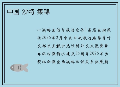 中国 沙特 集锦